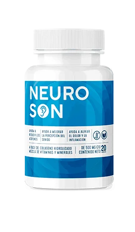 Neuroson